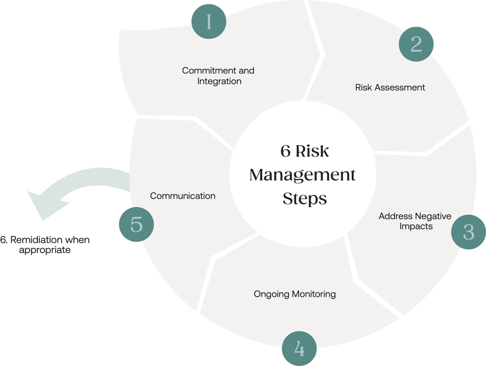 CSDDD risk assesment